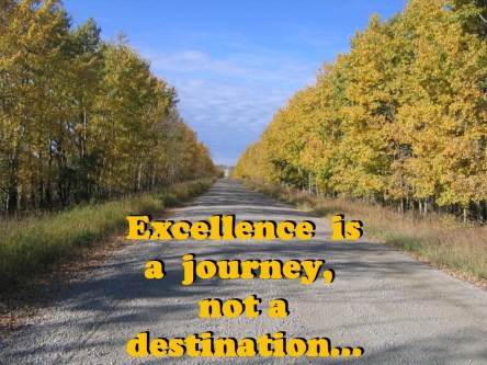 Excellence journey