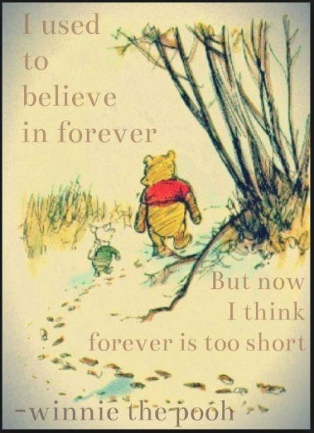 foreveristooshortbypooh